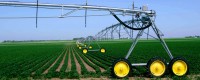 Low Maintenance Costs with T-L Pivot Irrigation